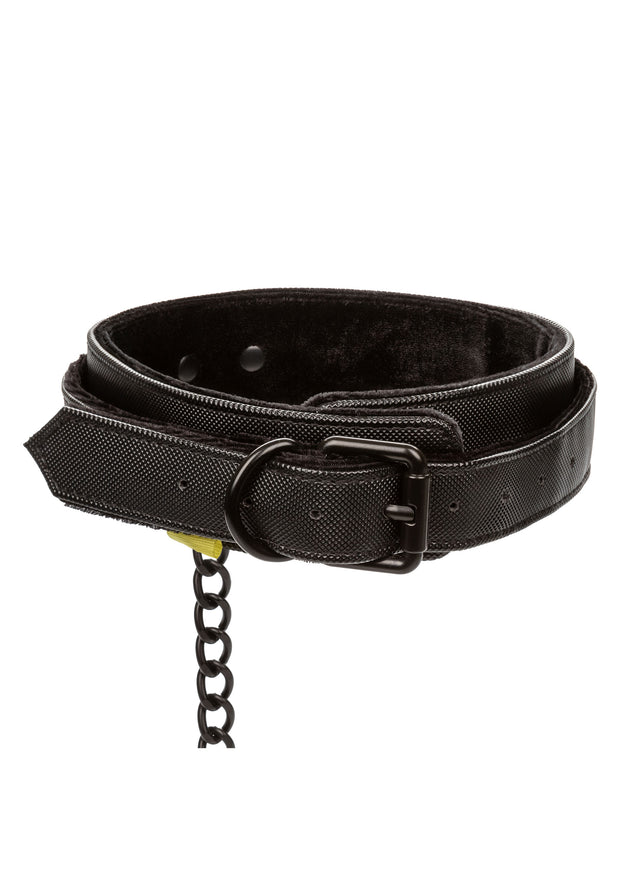 Collare con guinzaglio Boundless Collar & Leash