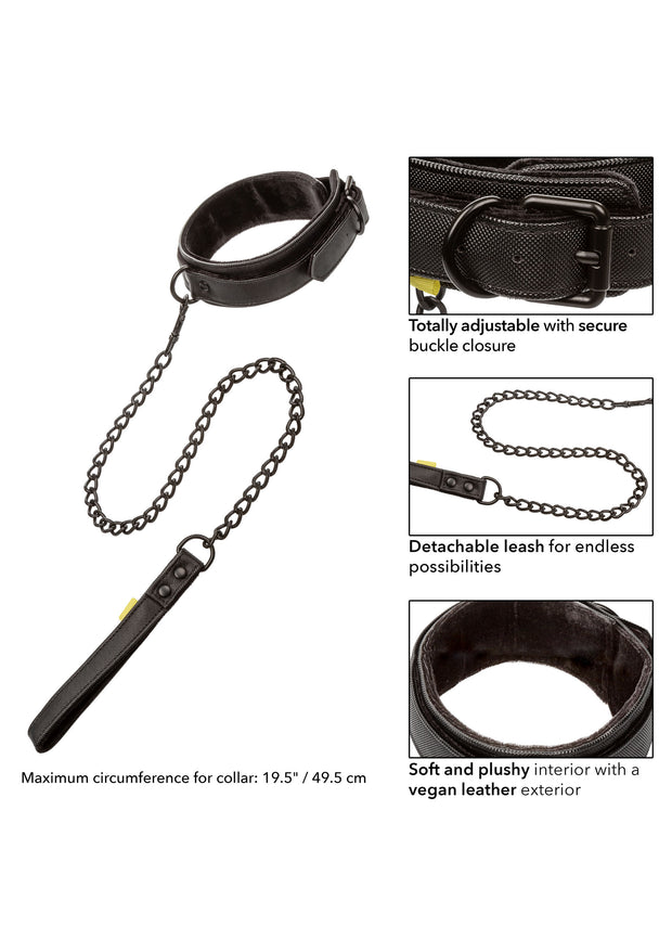 Collare con guinzaglio Boundless Collar & Leash