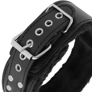 Collare con guinzaglio DARKNESS COLLAR WITH LEASH TITANIUM