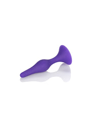 Plug anale Booty Call Booty Trainer Kit
