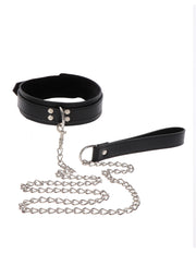 Collare con guinzaglio Elegant Collar and Chain Leash