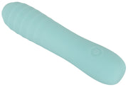 Vibratore vaginale anale Straight Vibrator