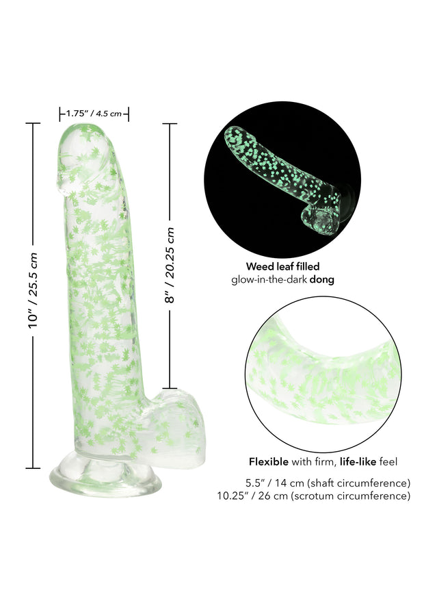 fallo con ventosa I Leaf Dick Glow Dildo