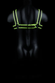 Imbragatura uomo fosforescente Chest Bulldog Harness - GitD - Neon Green/Black