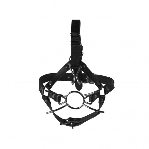 Imbracatura viso con morso Head Harness with Spider Gag and Nose Hooks Black