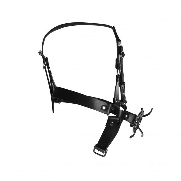 Imbracatura viso con morso Head Harness with Spider Gag and Nose Hooks Black