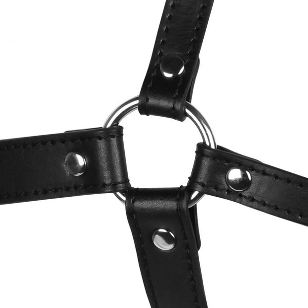 Imbracatura viso con morso Head Harness with Spider Gag and Nose Hooks Black