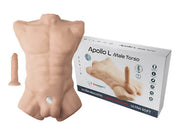 APOLLO L torso maschile realistico