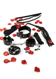 Kit Bondage 8 pz Manette morso collare frusta maschera pinze per capezzoli